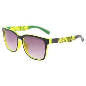 Boys Fashion Zebra Stripe Print Sunglasses