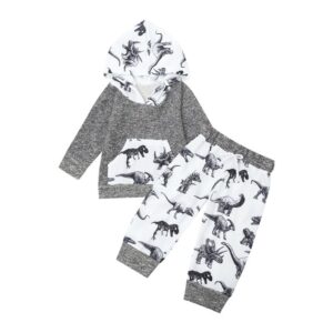 Kids Baby Boy Fashion Grey Hooded Dinosaur Sweatshirt Set