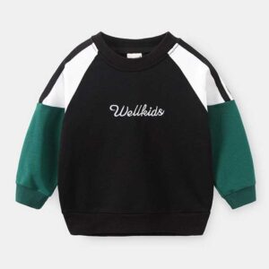 Boys Letter Embroidery Color Blocking Sweatshirt