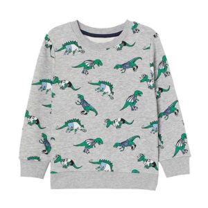 Fashion Dinosaur Pattern Round Neck Sweater