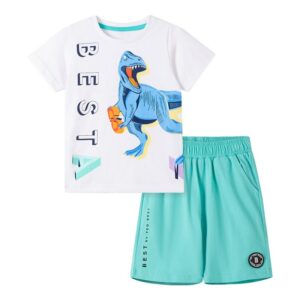Kids Toddler Boys Casual Cartoon Dinosaur Print Short Sleeve T-Shirt Shorts Sets