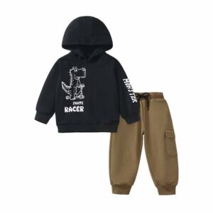 Kids Toddler Boys Casual Cartoon Dinosaur Print Long Sleeve Hoodies Trousers Sets