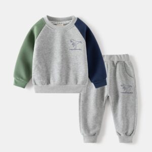 Kids Toddler Boys Spring Autumn Casual Cute Dinosaur Print Color Blocking Long Sleeve Sweatshirts Trousers Set