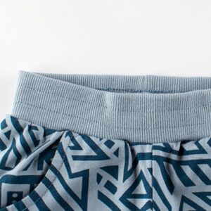 Kids Boys Basic Geometric Pattern All Over Print Elastic Casual Shorts