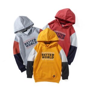 Boys Casual Letter Color Blocking Long-sleeve Hoodie