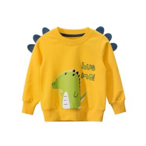 Boys Cute Dinosaur Pattern Design Sweatshirt