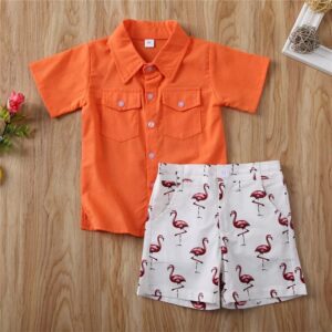 Kids Single-breasted Short-sleeved Shirt And Flamingo Pattern Shorts Set