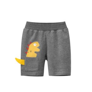 Boys Cute Dinosaurs Pockets Design Shorts