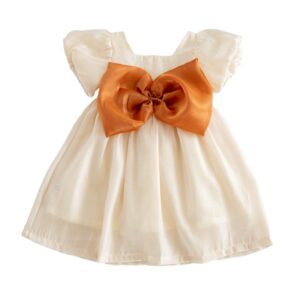 Children Kids Baby Fashion Girls Short Sleeve Sweet Big Bowknot Mesh Princess Dress