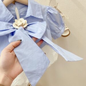 Kids Girls Sweet Lapel Puff Sleeve Big Bow Design Top And Elastic Waist Shorts Two-piece Set