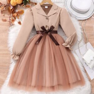 Autumn And Winter Girls Elegant Fashion Long Sleeve Lapel Mesh Dress