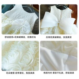 Girls Cute Puff Dress Party Princess Dress