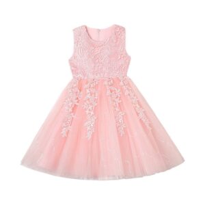 Girls Elegant Embroidered Mesh Bow Tutu Party Dress
