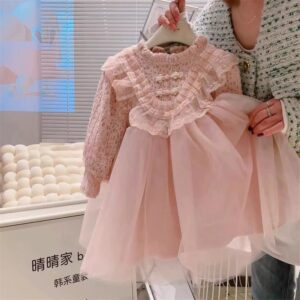 Kids Toddler Girls Casual Cute Lace Hollow Long Sleeve Mesh Dress