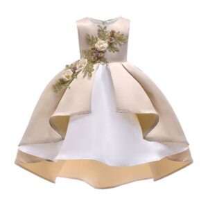 Pretty Girls Sleeveless Floral Embroidered Elegant Princess Party Dress