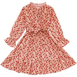 Children Kids Baby Fashion Girls Casual Basic Long Sleeve Flower Print Princess Dress