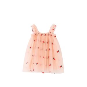 Kids Toddler Girls Fashion Sling Embroidered Mesh Dress