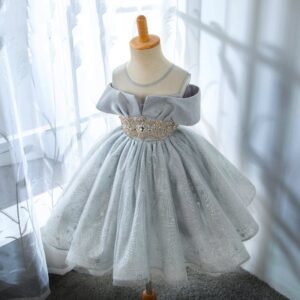 Kids Girls Elegant Round Neck Sleeveless Mesh Fluffy Princess Party Dress