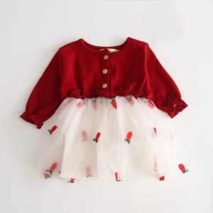 Baby Long-sleeves Stringy Selvedge Design Mesh Dress